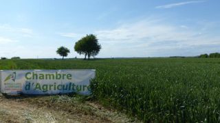 © A. Cassigneul/GFA © A. Cassigneul/GFA
